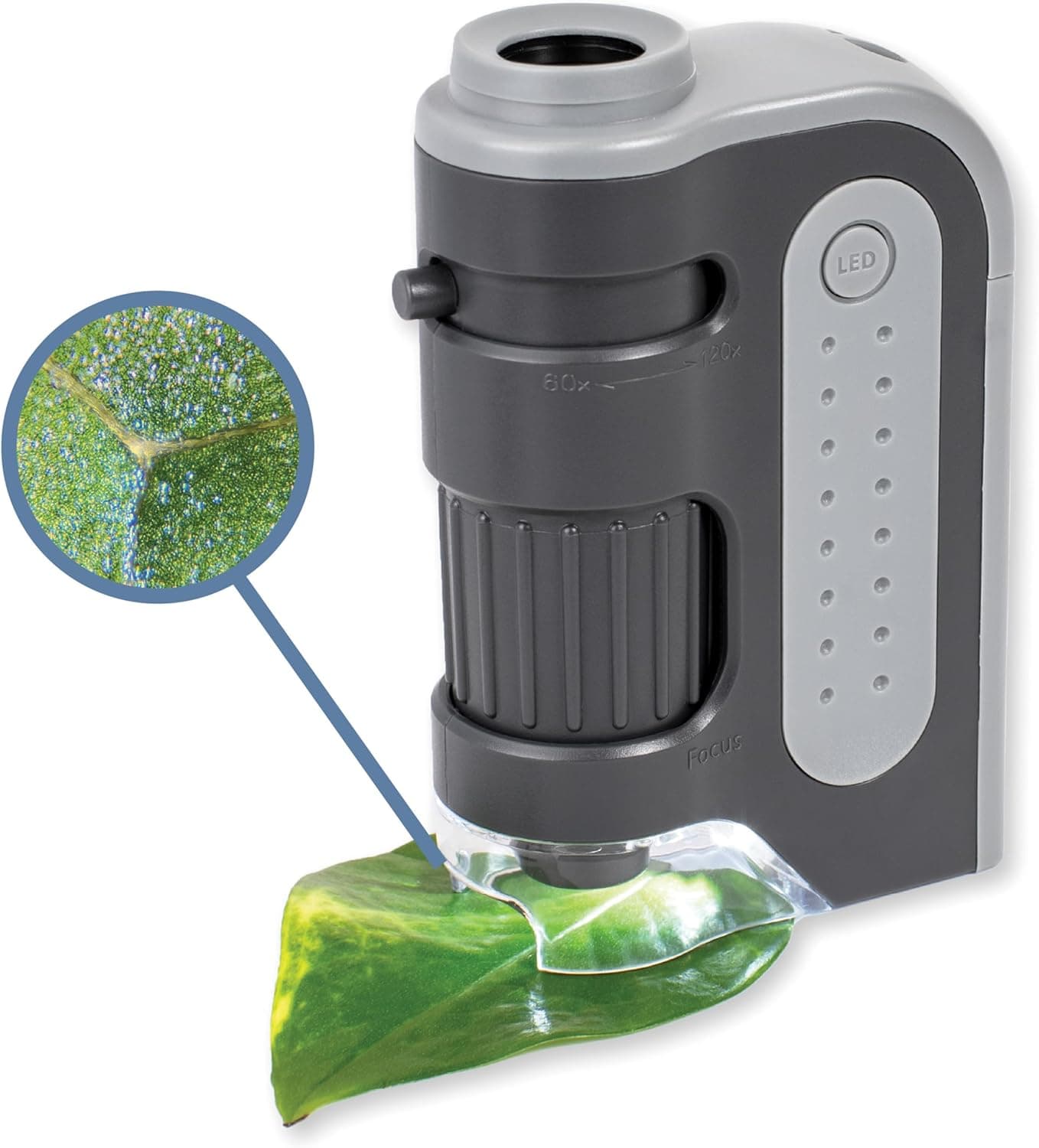 Carson MicroBrite Plus Pocket Microscope